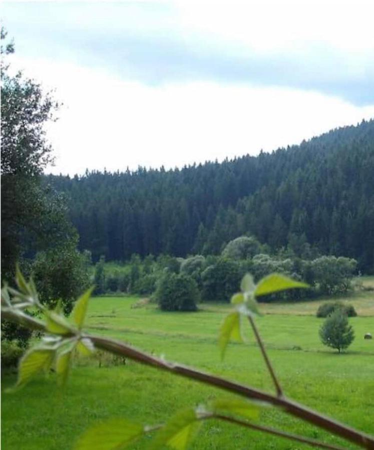 Ferienhaus Schlagintweit دراخسيلسريد المظهر الخارجي الصورة